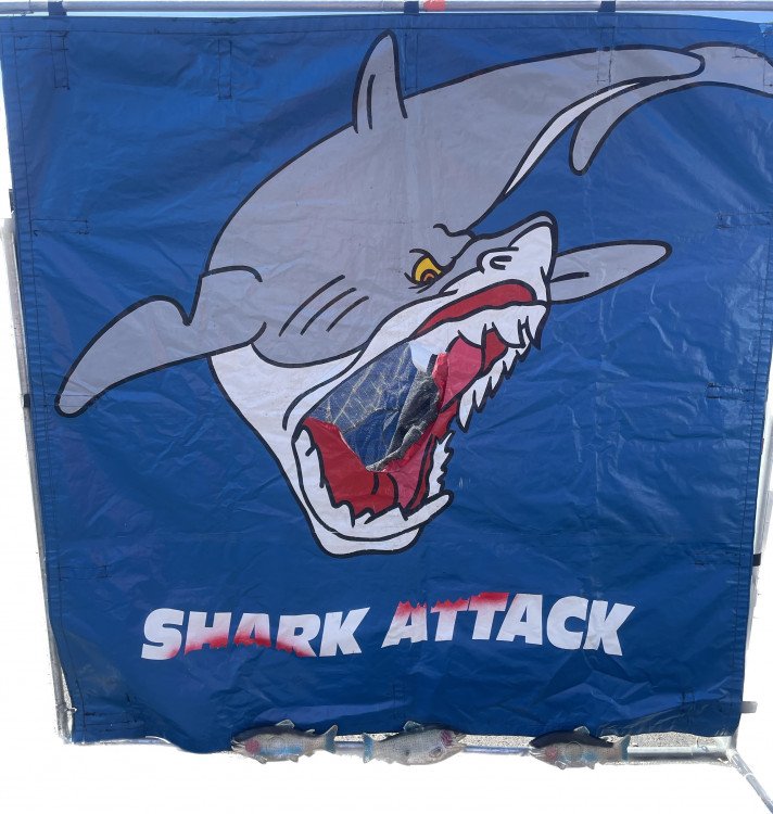 Shark Attack Frame Game