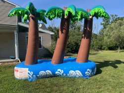 IMG 7226 1685477715 Inflatable Palm Tree Water Mister Spray Decoration